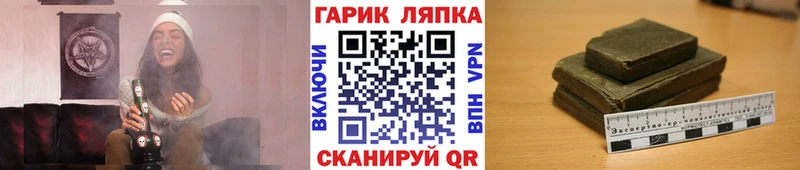 ГАШ Premium  Северская 